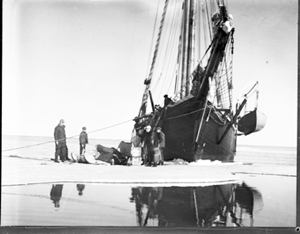 Image: Loading sledge beside the MORRISSEY's bow